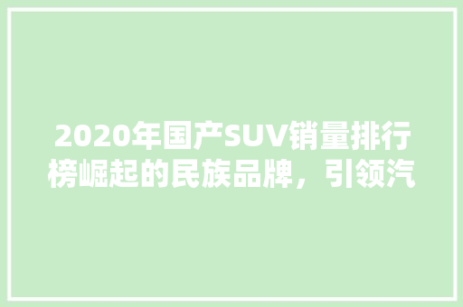 2020年国产SUV销量排行榜崛起的民族品牌，引领汽车市场新潮流 车载导航