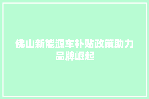 佛山新能源车补贴政策助力品牌崛起
