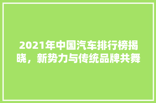 2021年中国汽车排行榜揭晓，新势力与传统品牌共舞