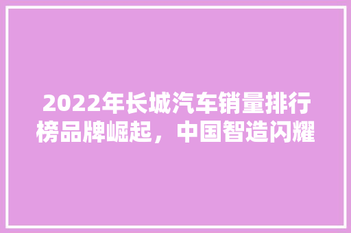 2022年长城汽车销量排行榜品牌崛起，中国智造闪耀全球 汽车保养