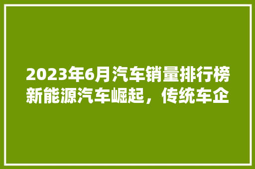 2023年6月汽车销量排行榜新能源汽车崛起，传统车企面临挑战