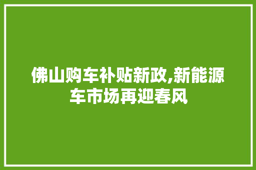 佛山购车补贴新政,新能源车市场再迎春风