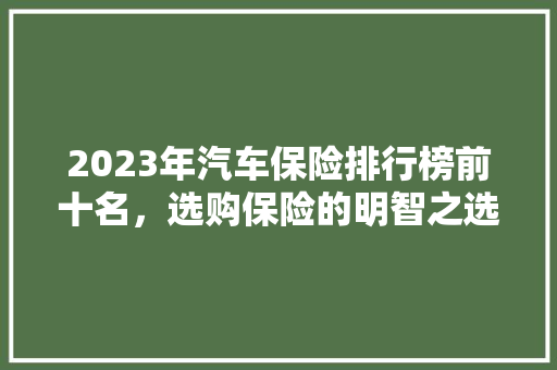 2023年汽车保险排行榜前十名，选购保险的明智之选