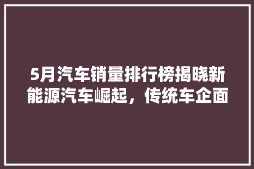 5月汽车销量排行榜揭晓新能源汽车崛起，传统车企面临挑战