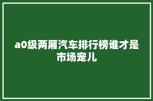 a0级两厢汽车排行榜谁才是市场宠儿