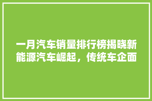 一月汽车销量排行榜揭晓新能源汽车崛起，传统车企面临挑战