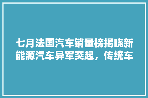 七月法国汽车销量榜揭晓新能源汽车异军突起，传统车型面临挑战