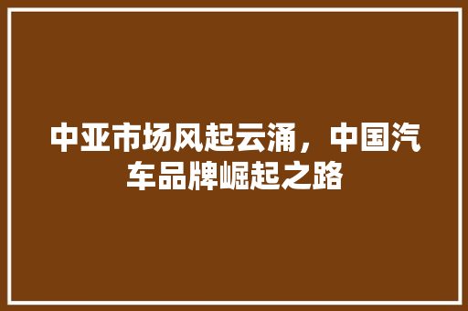 中亚市场风起云涌，中国汽车品牌崛起之路