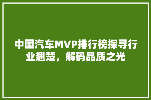 中国汽车MVP排行榜探寻行业翘楚，解码品质之光 车载导航