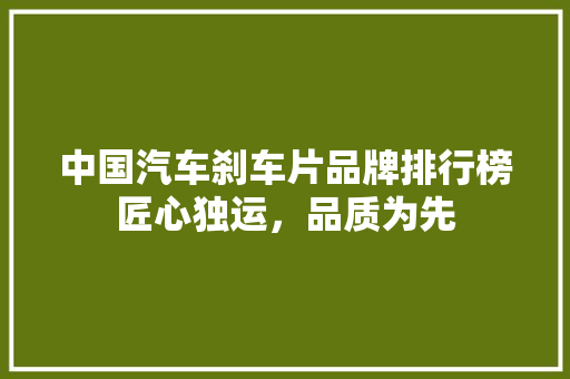 中国汽车刹车片品牌排行榜匠心独运，品质为先