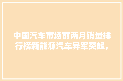 中国汽车市场前两月销量排行榜新能源汽车异军突起，传统车企面临挑战 汽车轮胎