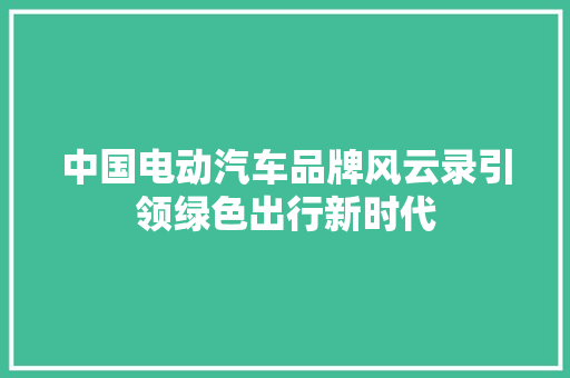 中国电动汽车品牌风云录引领绿色出行新时代