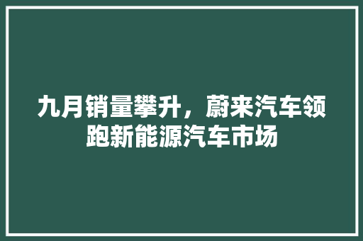 九月销量攀升，蔚来汽车领跑新能源汽车市场