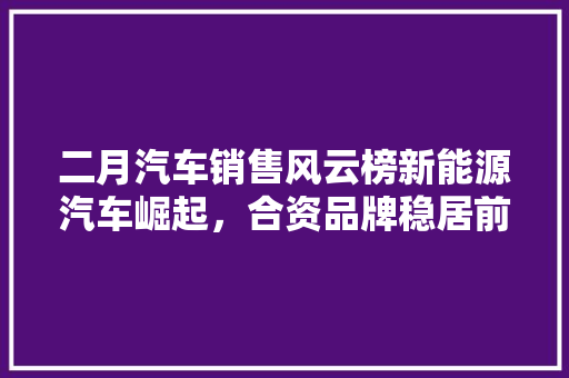 二月汽车销售风云榜新能源汽车崛起，合资品牌稳居前列