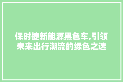 保时捷新能源黑色车,引领未来出行潮流的绿色之选