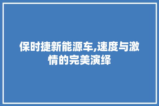 保时捷新能源车,速度与激情的完美演绎