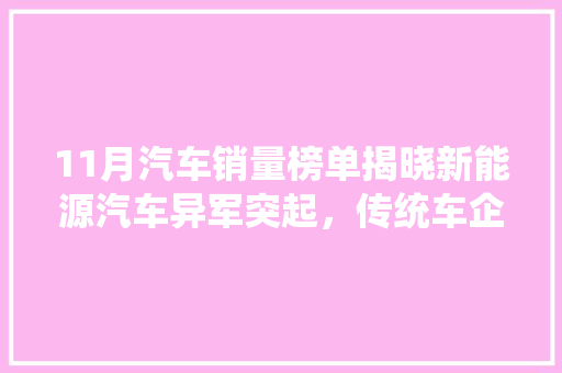 11月汽车销量榜单揭晓新能源汽车异军突起，传统车企面临挑战