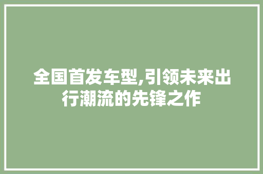 全国首发车型,引领未来出行潮流的先锋之作