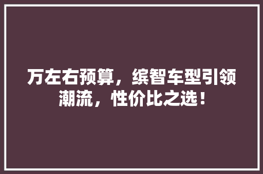 万左右预算，缤智车型引领潮流，性价比之选！