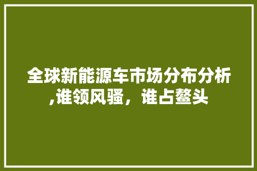 全球新能源车市场分布分析,谁领风骚，谁占鳌头