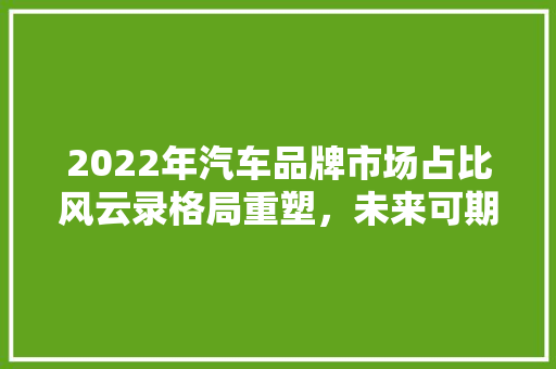 2022年汽车品牌市场占比风云录格局重塑，未来可期 自动驾驶