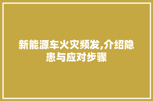 新能源车火灾频发,介绍隐患与应对步骤