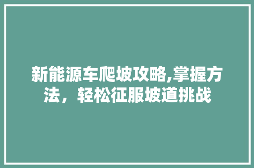 新能源车爬坡攻略,掌握方法，轻松征服坡道挑战 车载导航