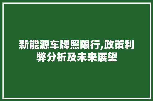新能源车牌照限行,政策利弊分析及未来展望