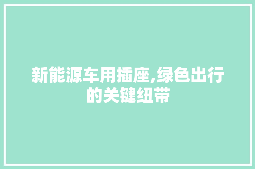 新能源车用插座,绿色出行的关键纽带