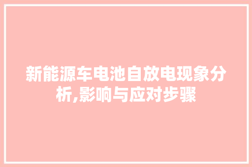 新能源车电池自放电现象分析,影响与应对步骤