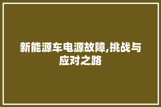 新能源车电源故障,挑战与应对之路