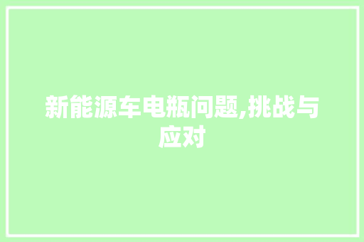 新能源车电瓶问题,挑战与应对