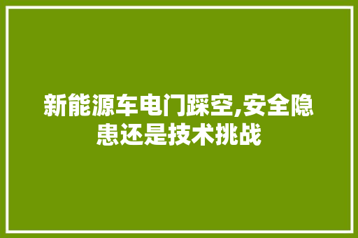 新能源车电门踩空,安全隐患还是技术挑战