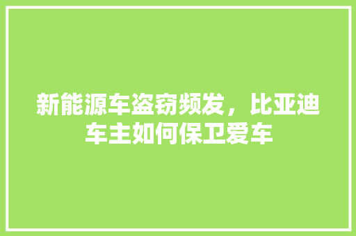 新能源车盗窃频发，比亚迪车主如何保卫爱车