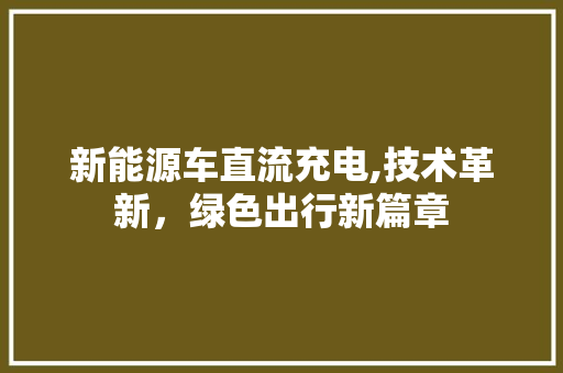 新能源车直流充电,技术革新，绿色出行新篇章