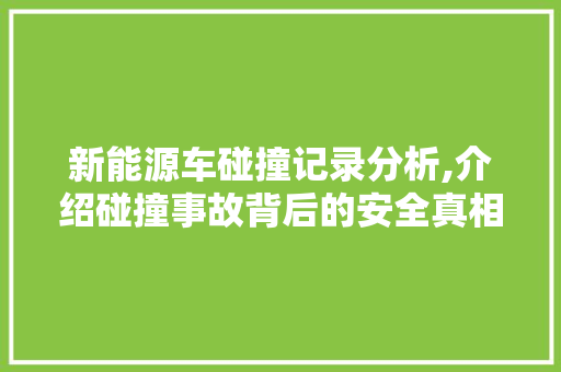 新能源车碰撞记录分析,介绍碰撞事故背后的安全真相