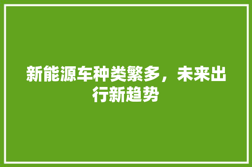 新能源车种类繁多，未来出行新趋势