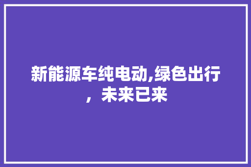 新能源车纯电动,绿色出行，未来已来
