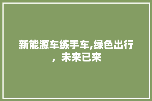 新能源车练手车,绿色出行，未来已来