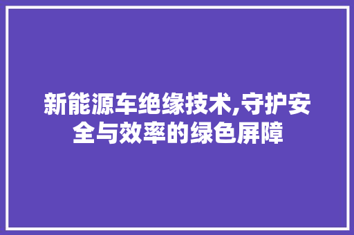 新能源车绝缘技术,守护安全与效率的绿色屏障