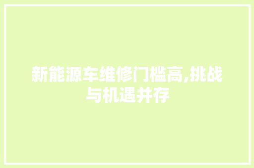 新能源车维修门槛高,挑战与机遇并存