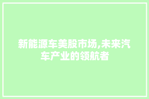 新能源车美股市场,未来汽车产业的领航者