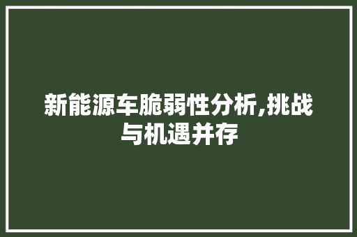 新能源车脆弱性分析,挑战与机遇并存