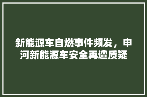 新能源车自燃事件频发，申河新能源车安全再遭质疑
