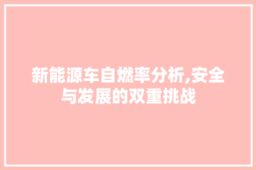 新能源车自燃率分析,安全与发展的双重挑战