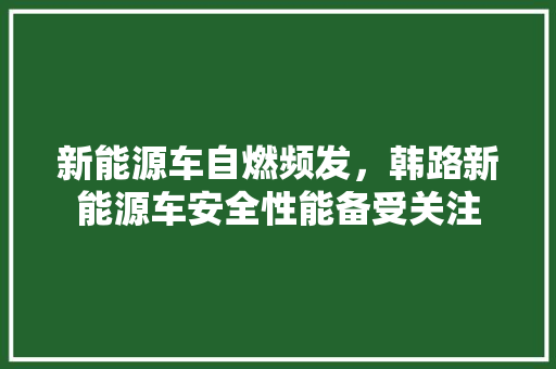 新能源车自燃频发，韩路新能源车安全性能备受关注