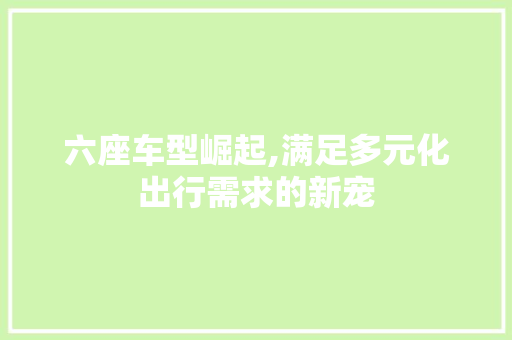 六座车型崛起,满足多元化出行需求的新宠 汽车展览