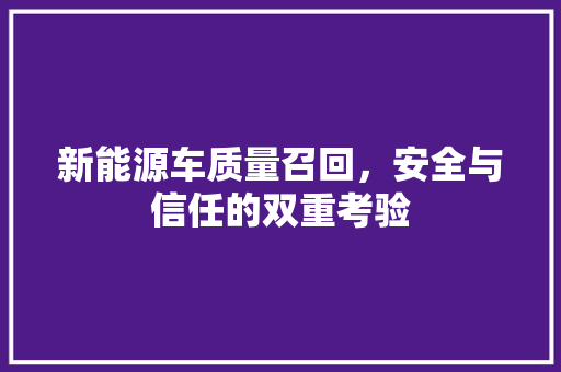 新能源车质量召回，安全与信任的双重考验 混合动力车