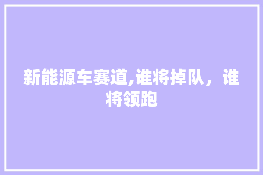 新能源车赛道,谁将掉队，谁将领跑