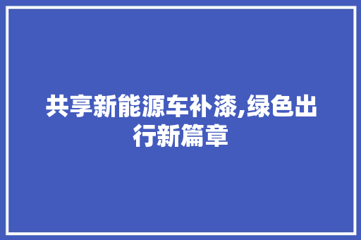 共享新能源车补漆,绿色出行新篇章